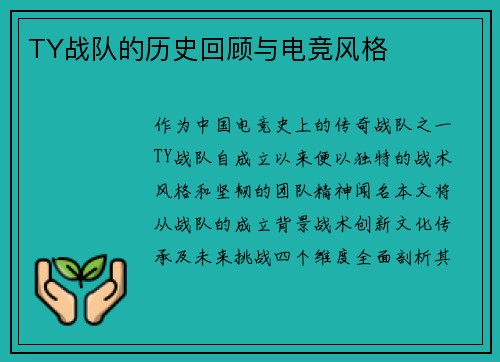 TY战队的历史回顾与电竞风格