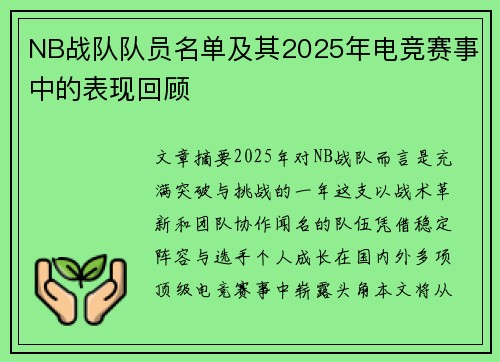 NB战队队员名单及其2025年电竞赛事中的表现回顾